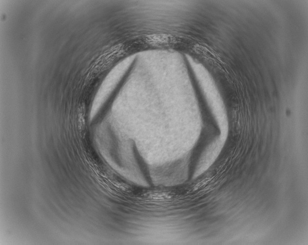 X0000058120702200510171310