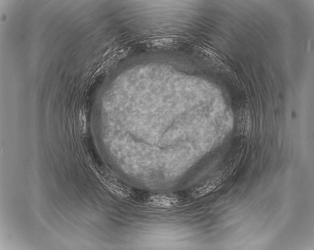 X0000058120703200510171310