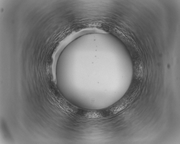 X0000058120704200510171310