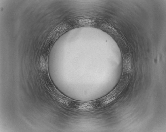 X0000058120705200510171310