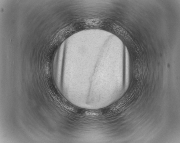 X0000058120706200510171310