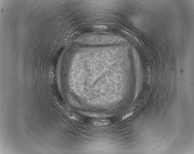 X0000058120707200510171310