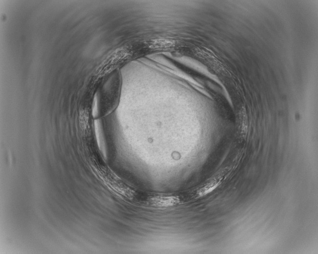 X0000058120711200510171310