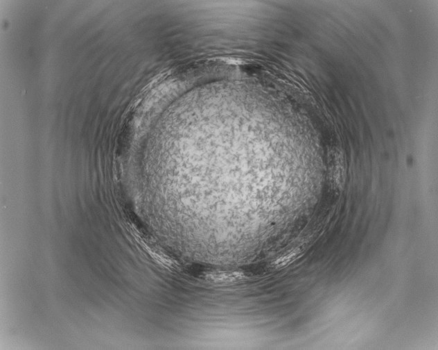 X0000058120712200510171310