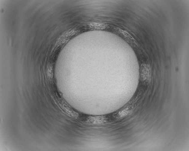 X0000058120713200510171310