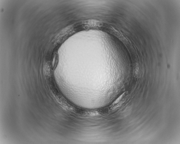 X0000058120715200510171310