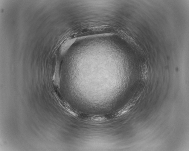 X0000058120716200510171310