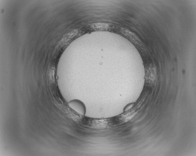 X0000058120717200510171310