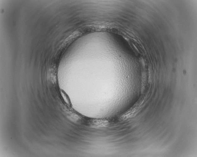 X0000058120719200510171310