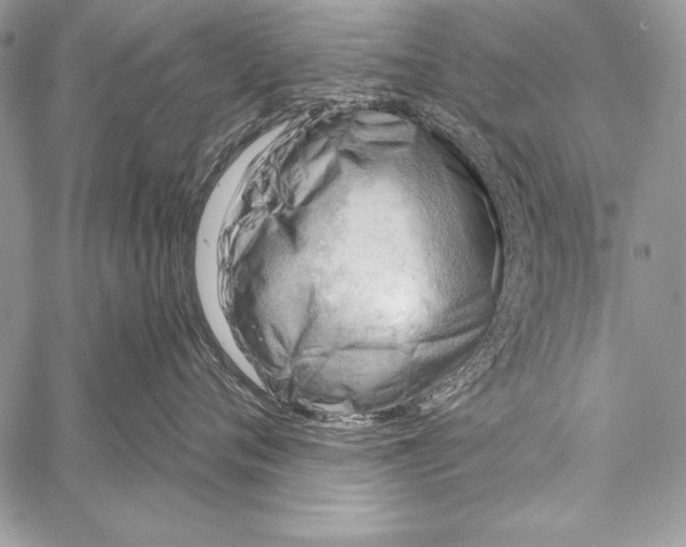 X0000058120720200510171310