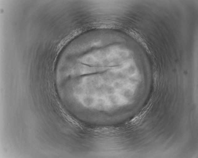 X0000058120721200510171309