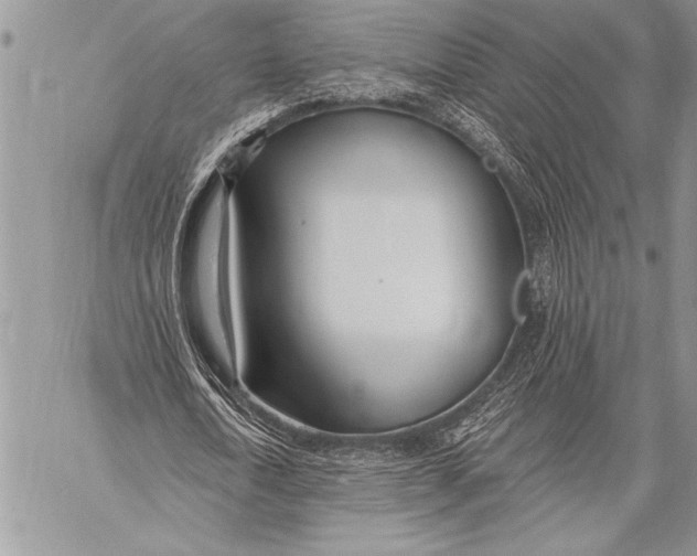 X0000058120722200510171309