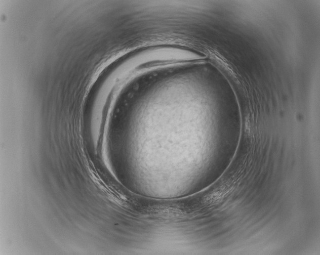 X0000058120724200510171309