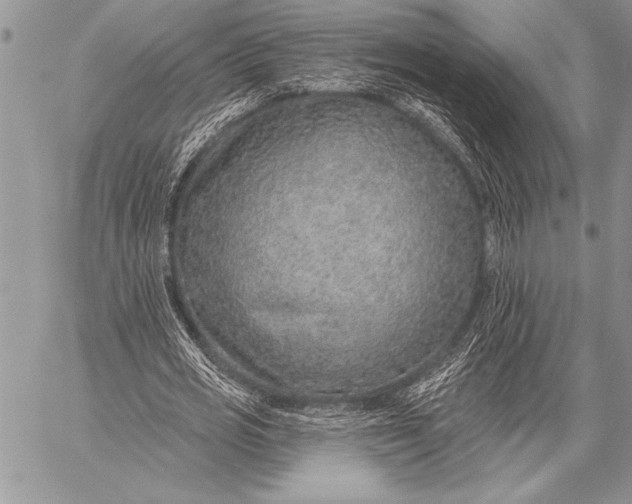 X0000058120725200510171309