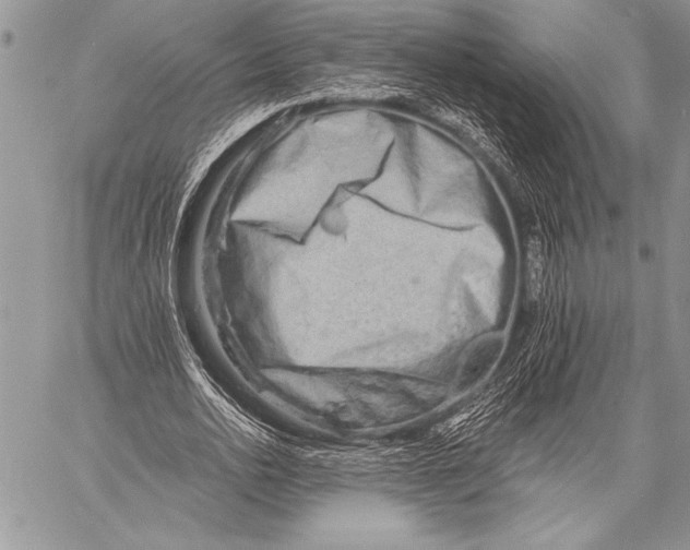 X0000058120726200510171309