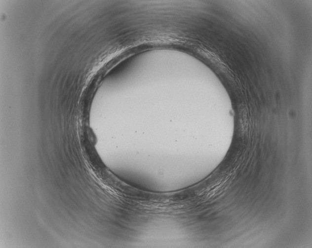 X0000058120728200510171309