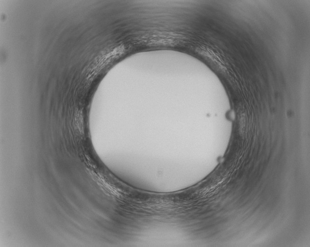 X0000058120729200510171309