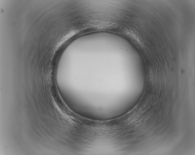 X0000058120730200510171309