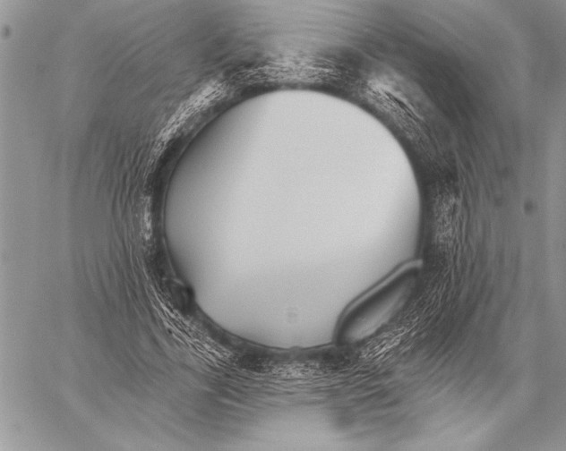 X0000058120731200510171309