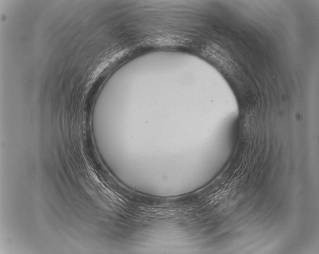 X0000058120732200510171309