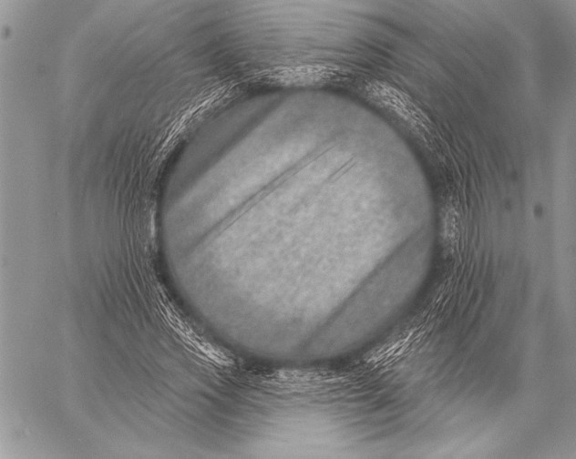 X0000058120733200510171309