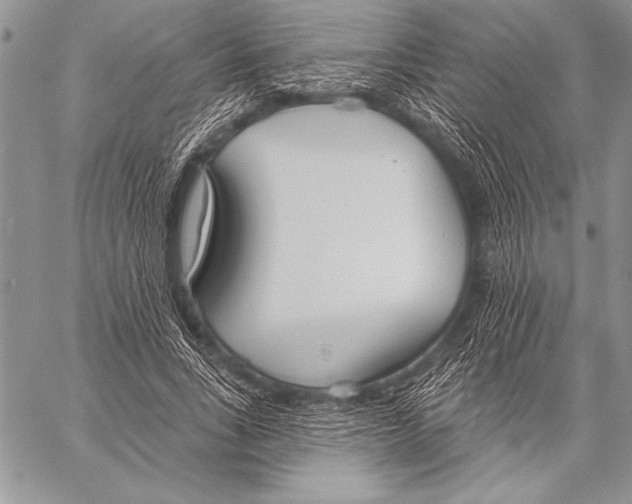 X0000058120735200510171309