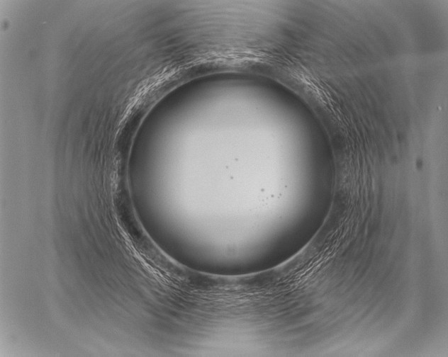 X0000058120736200510171309