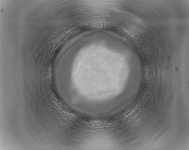 X0000058120737200510171309