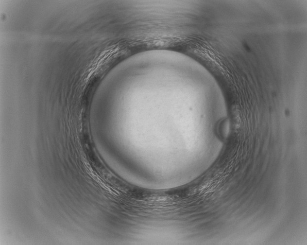 X0000058120738200510171309