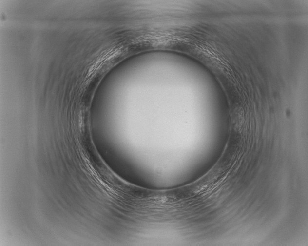 X0000058120740200510171309