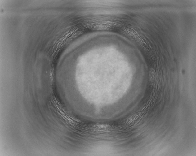 X0000058120741200510171309