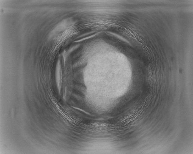 X0000058120742200510171309