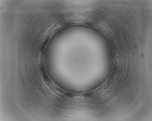 X0000058120744200510171310