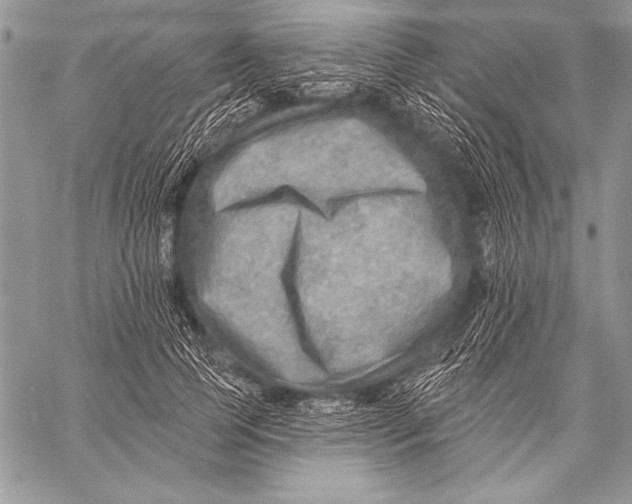 X0000058120745200510171310