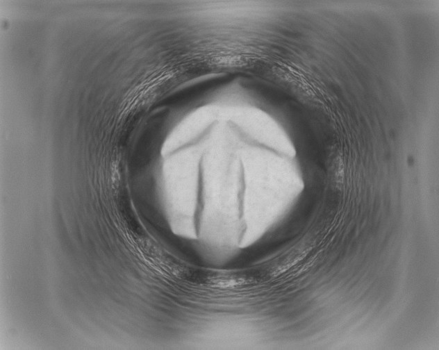 X0000058120746200510171310