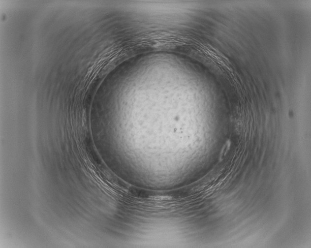 X0000058120748200510171310