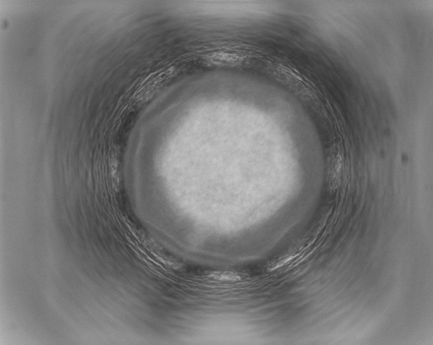 X0000058120749200510171310