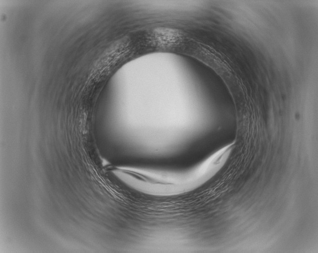 X0000058120750200510171310