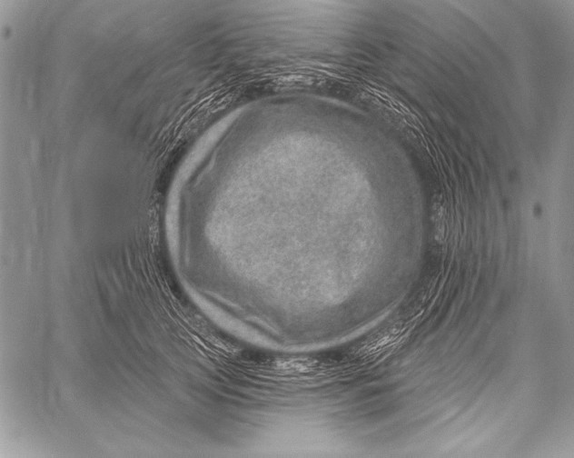 X0000058120753200510171310