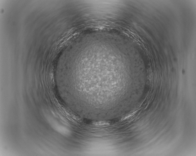 X0000058120754200510171310