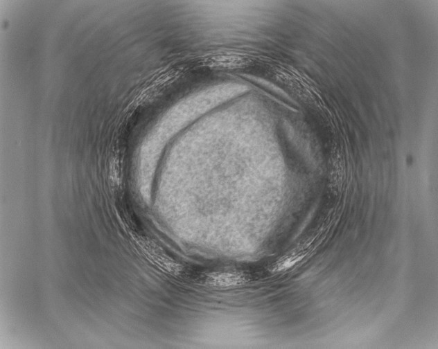 X0000058120755200510171310