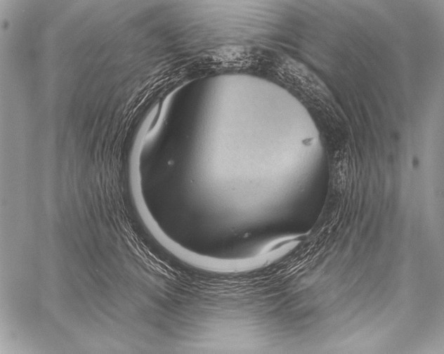 X0000058120756200510171310