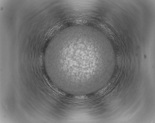 X0000058120757200510171310