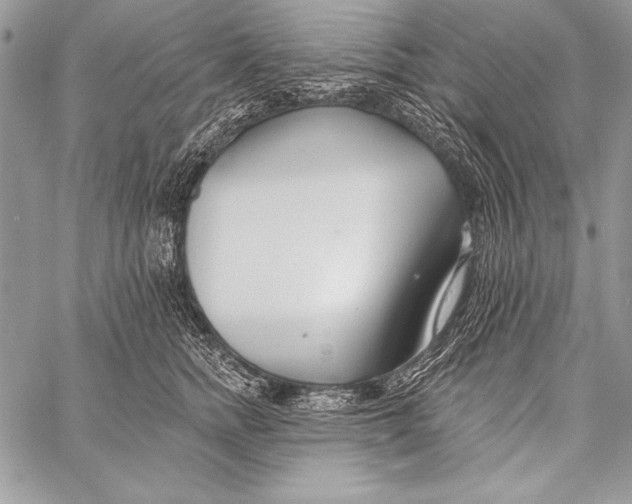 X0000058120758200510171310