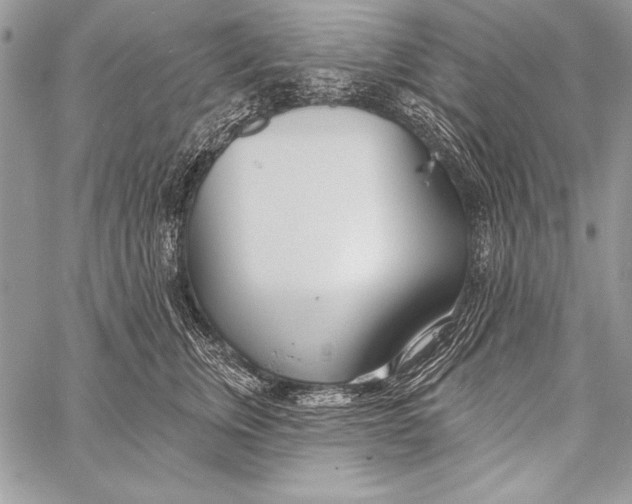 X0000058120759200510171310