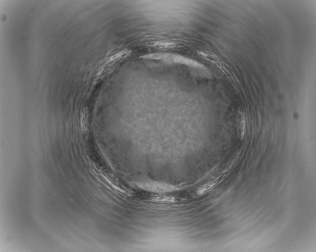 X0000058120760200510171310