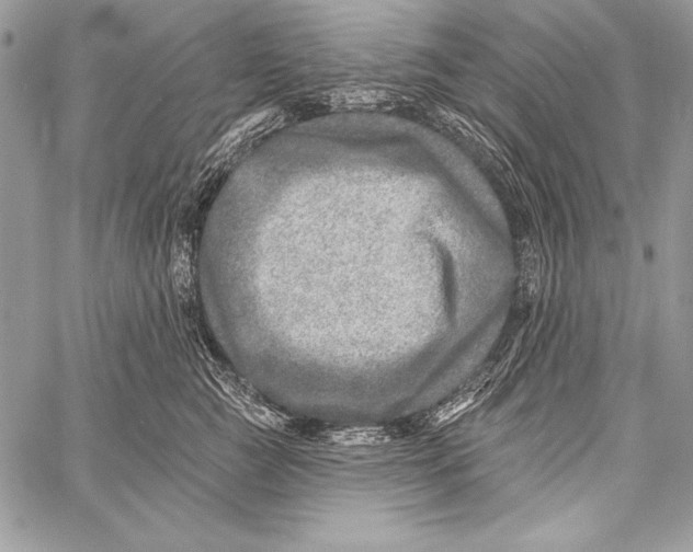 X0000058120761200510171310