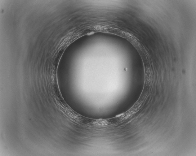 X0000058120762200510171310