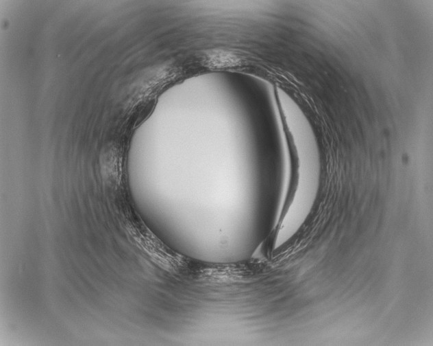 X0000058120763200510171310