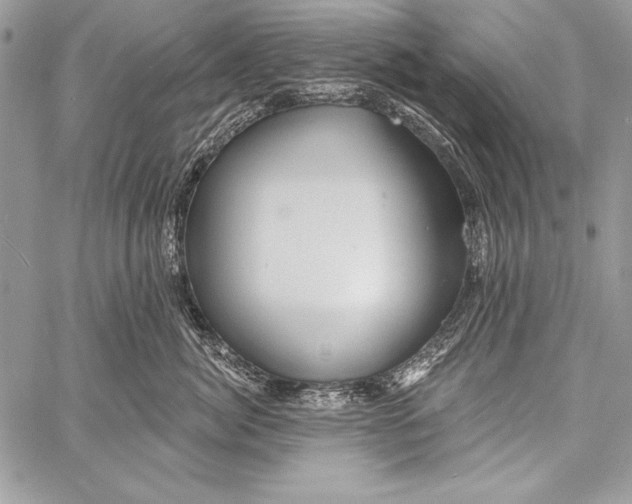 X0000058120764200510171310